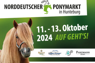 Hunteburger Ponymarkt 2024 - Hubu.de