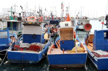 EU-Fischereirat legt Fangmöglichkeiten für Nordsee fest