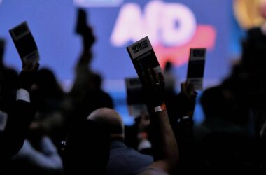 DIW: AfD verspricht "utopische" Milliarden-Entlastungen