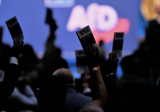 DIW: AfD verspricht "utopische" Milliarden-Entlastungen