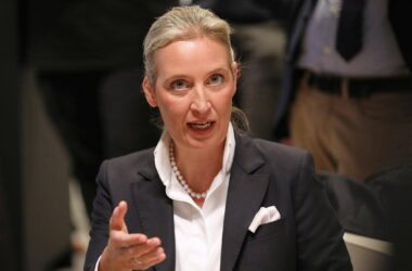 Weidel will nach Habeck-Absage Triell mit Scholz und Merz