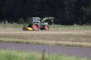 Landwirtschaftliche Erzeugerpreise steigen wieder