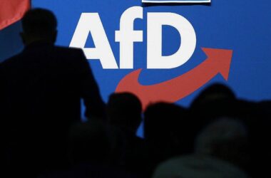 AfD-Mitglieder wollen Bundestagswahlprogramm ändern