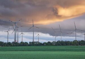 Habeck will Windkraftausbau auf ausgeschriebene Flächen begrenzen