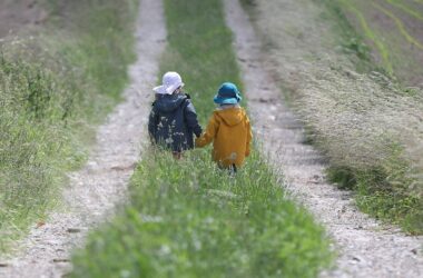 FDP will Familienrechtsreform noch vor der Wahl