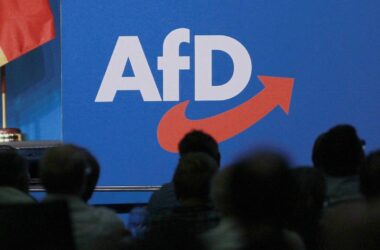 Experten schätzen Musk-Effekt für AfD als gering ein