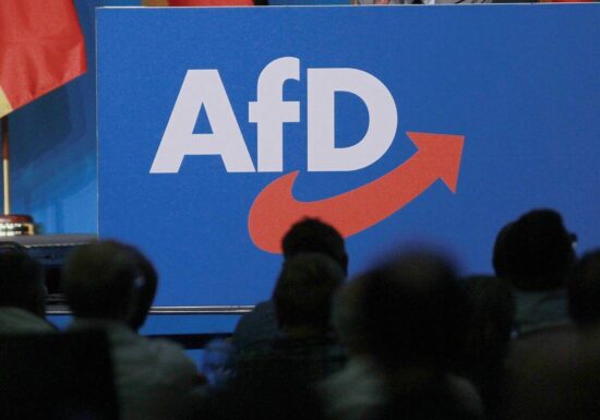 Experten schätzen Musk-Effekt für AfD als gering ein