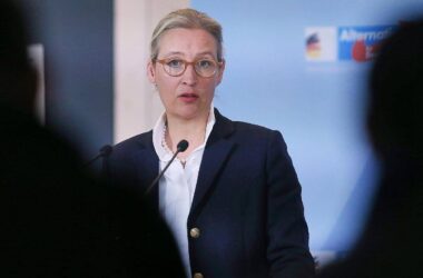 Weidel will Bürgergeld-Zahlungen an Ausländer stoppen
