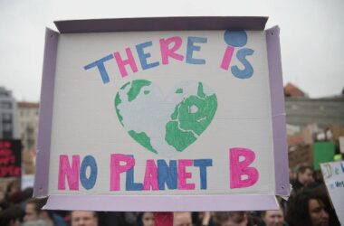 Wahl: Verbände wollen Wettbewerb um beste Pläne für Klimaschutz
