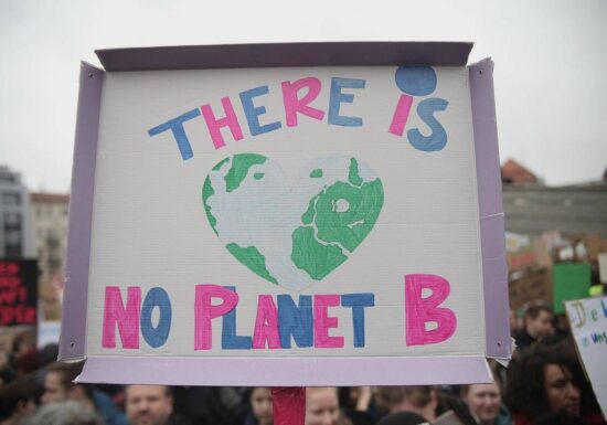 Wahl: Verbände wollen Wettbewerb um beste Pläne für Klimaschutz
