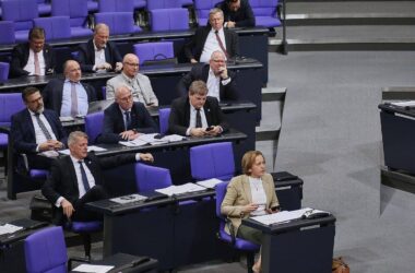 Frauenanteil der AfD-Landeslisten nur bei rund elf Prozent