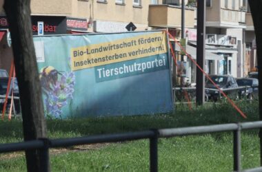 56 Parteien zeigen Beteiligung an Bundestagswahl an