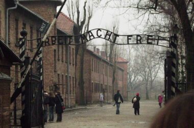 80 Jahre Auschwitz-Befreiung: Habeck will mehr Erinnerungskultur