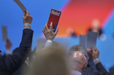AfD uneins über Merz-Angebot