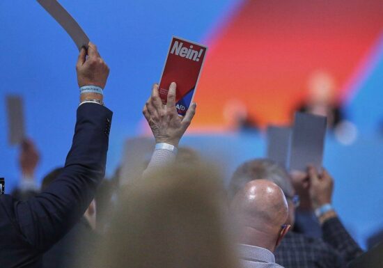 AfD uneins über Merz-Angebot