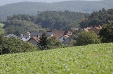 Haus und Grund: Erst Hälfte der Grundsteuerbescheide verschickt