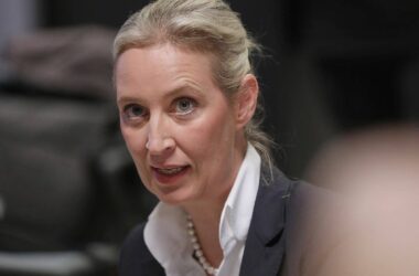 Weidel stellt Musk AfD als "libertäre konservative Partei" vor