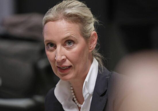 Weidel stellt Musk AfD als "libertäre konservative Partei" vor