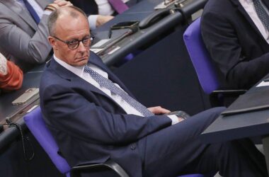 Grüne Mihalic: Merz-Plan für Einreiseverbot rechtlich unmöglich