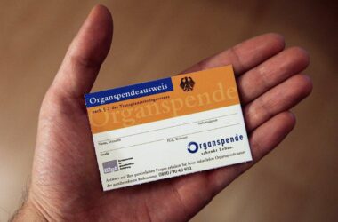 Organspende: Keine Abstimmung über Widerspruchslösung vor der Wahl