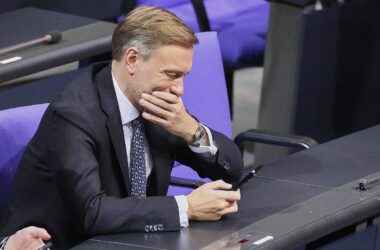 Lindner relativiert Lob für Musk und Milei