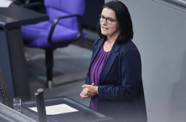 Grüne Mihalic: AfD-Verbotsverfahren Aufgabe für nächsten Bundestag