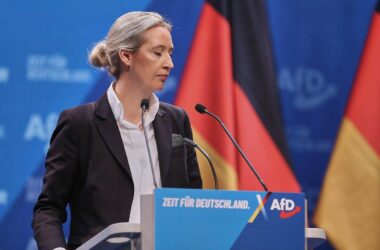 Ökonomen kritisieren AfD-Pläne zu Europa und Windkraft scharf