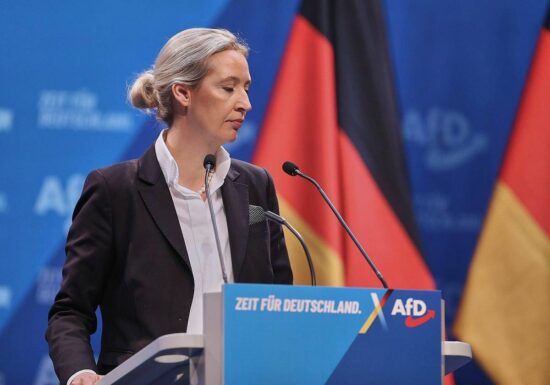 Ökonomen kritisieren AfD-Pläne zu Europa und Windkraft scharf