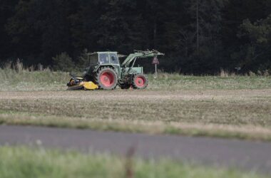 Erzeugerpreise landwirtschaftlicher Produkte gestiegen