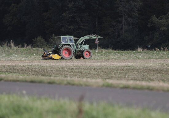 Erzeugerpreise landwirtschaftlicher Produkte gestiegen