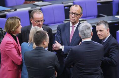 Grüne und Linke kritisieren Union für NGO-Anfrage
