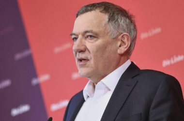 Linke fürchtet Zusammenarbeit von Union und AfD