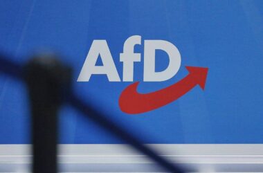 Grüne vermuten "illegales Finanzierungssystem" zugunsten der AfD