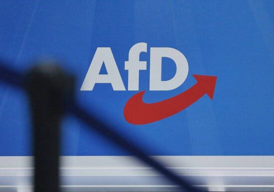 Grüne vermuten "illegales Finanzierungssystem" zugunsten der AfD