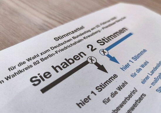 Boehme-Neßler sieht bei Auslandsdeutschen "schweren Wahlfehler"