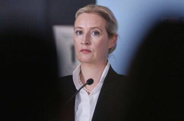Insa: AfD und FDP verlieren - Linke legt zu