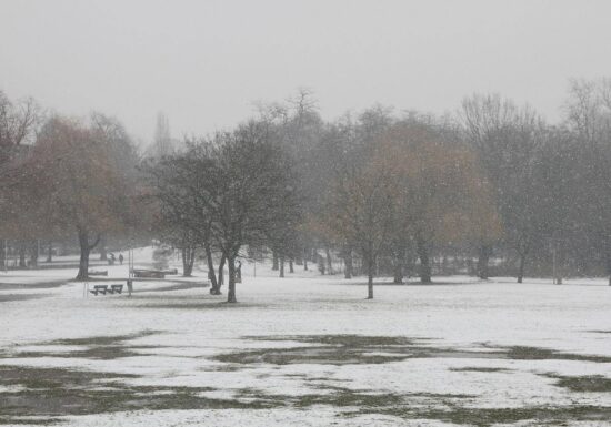Winter erneut zu mild und zu trocken