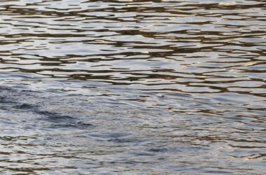 Deutsche Wirtschaft nutzt weniger Wasser