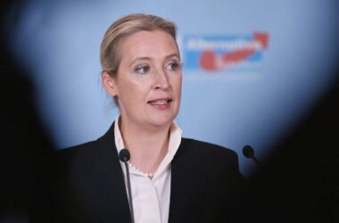Experten sprechen Weidel und AfD Wirtschaftskompetenz ab