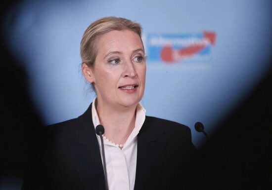 Experten sprechen Weidel und AfD Wirtschaftskompetenz ab