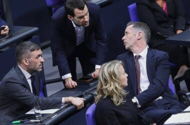 Politologe vermisst "zentrales Argument" für FDP im Bundestag