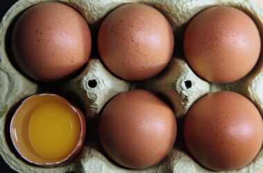 Eierproduktion gestiegen