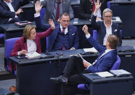 AfD will gegen Bundestagsabstimmungen nach Karlsruhe ziehen