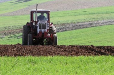 Erzeugerpreise in der Landwirtschaft steigen an