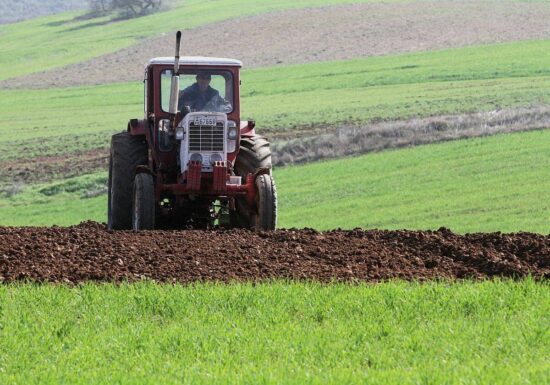 Erzeugerpreise in der Landwirtschaft steigen an