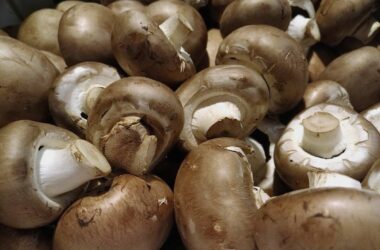 Speisepilzernte geht zurück - Champignons weiter Spitzenreiter