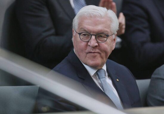 Steinmeier erwartet Entscheidung zu Pflicht-Dienstjahr