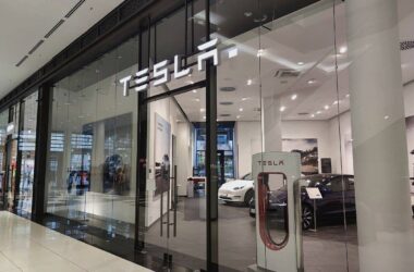 Linkspartei reagiert mit Schadenfreude auf Gewinneinbruch bei Tesla