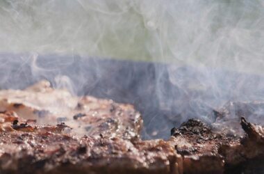 Hofreiter kritisiert Fleisch-Vorstoß des künftigen Agrarministers