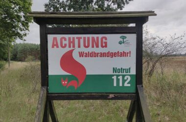Waldbesitzer rufen Bürger zu "umsichtigem Verhalten" auf